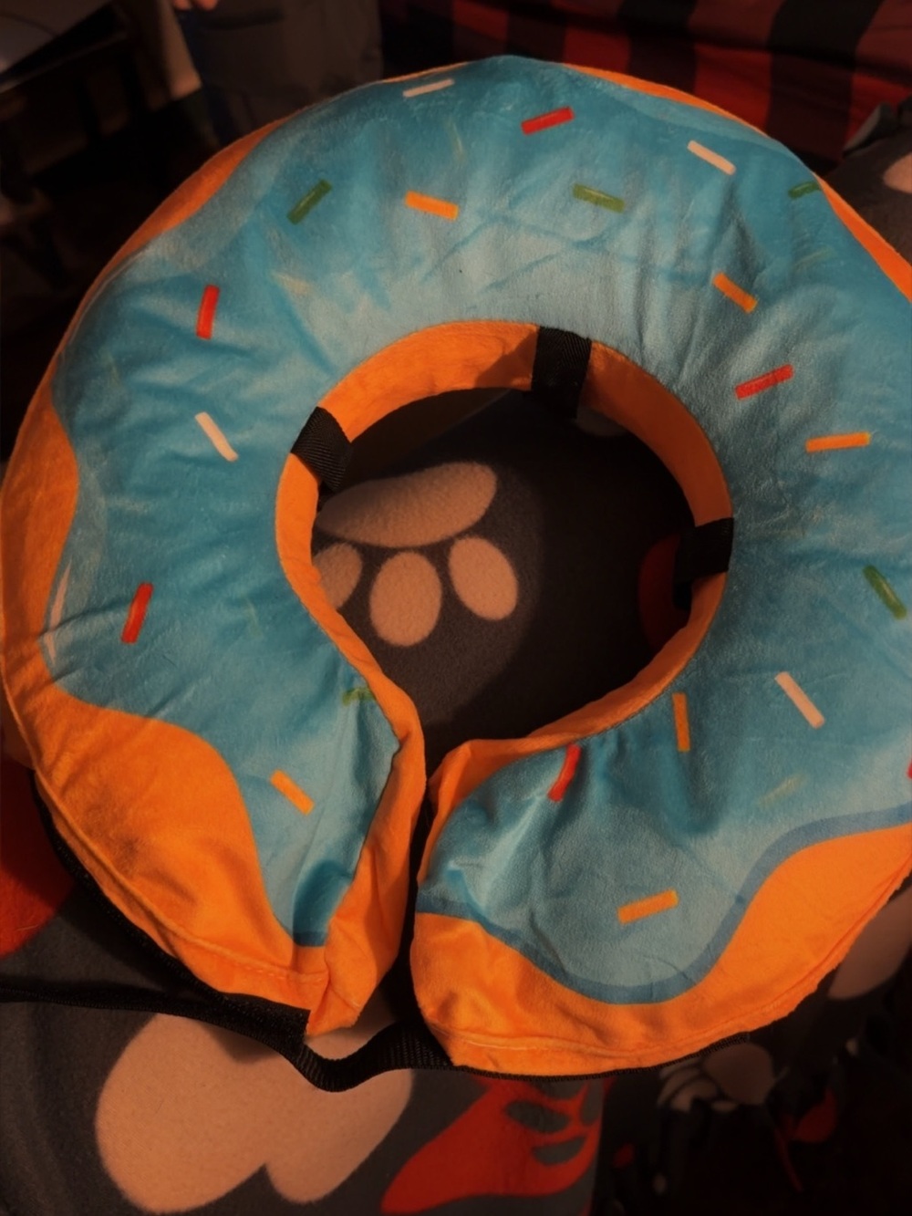 Donut for dog instead of a cone